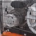 Компрессор поршневой ременной PATRIOT Remeza СБ 4/С-100 LB 30 A снят с производства Компрессор поршневой ременной PATRIOT Remeza СБ 4/С-100 LB 30 A снят с производства