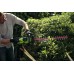 Кусторез Greenworks G40HT61 40V (61 см) аккумуляторный Кусторез Greenworks G40HT61 40V (61 см) аккумуляторный