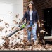 Воздуходув аккумуляторный Greenworks GD60ABK4, 60V (209 км/ч) бесщеточный, c 1хАКБ 4 А.ч. и ЗУ Воздуходув аккумуляторный Greenworks GD60ABK4, 60V (209 км/ч) бесщеточный, c 1хАКБ 4 А.ч. и ЗУ