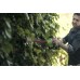 Кусторез Greenworks G40HT61 40V (61 см) аккумуляторный Кусторез Greenworks G40HT61 40V (61 см) аккумуляторный