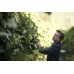 Кусторез Greenworks G40HT61 40V (61 см) аккумуляторный Кусторез Greenworks G40HT61 40V (61 см) аккумуляторный