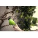 Ножницы садовые Greenworks G3,6HS 3,6V (16 см) аккумуляторные Ножницы садовые Greenworks G3,6HS 3,6V (16 см) аккумуляторные