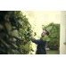Кусторез Greenworks G40HT61 40V (61 см) аккумуляторный Кусторез Greenworks G40HT61 40V (61 см) аккумуляторный