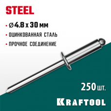 KRAFTOOL 4.8 х 30 мм, 250 шт., стальные заклепки Steel 311703-48-30 KRAFTOOL 4.8 х 30 мм, 250 шт., стальные заклепки Steel 311703-48-30