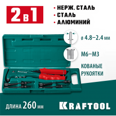 KRAFTOOL Combo2-M6, 2 вида заклёпок, комбинированный литой заклепочник в кейсе (31180) KRAFTOOL Combo2-M6, 2 вида заклёпок, комбинированный литой заклепочник в кейсе (31180)